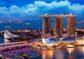 旺财28.ccpc29APP手机版